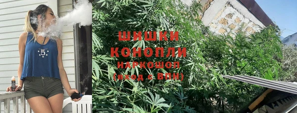 гидра Надым