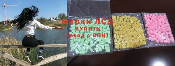 гидра Надым