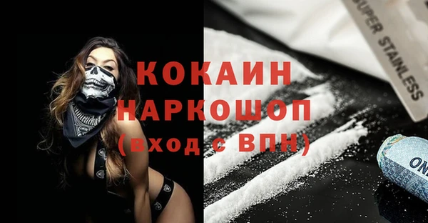 гидра Надым
