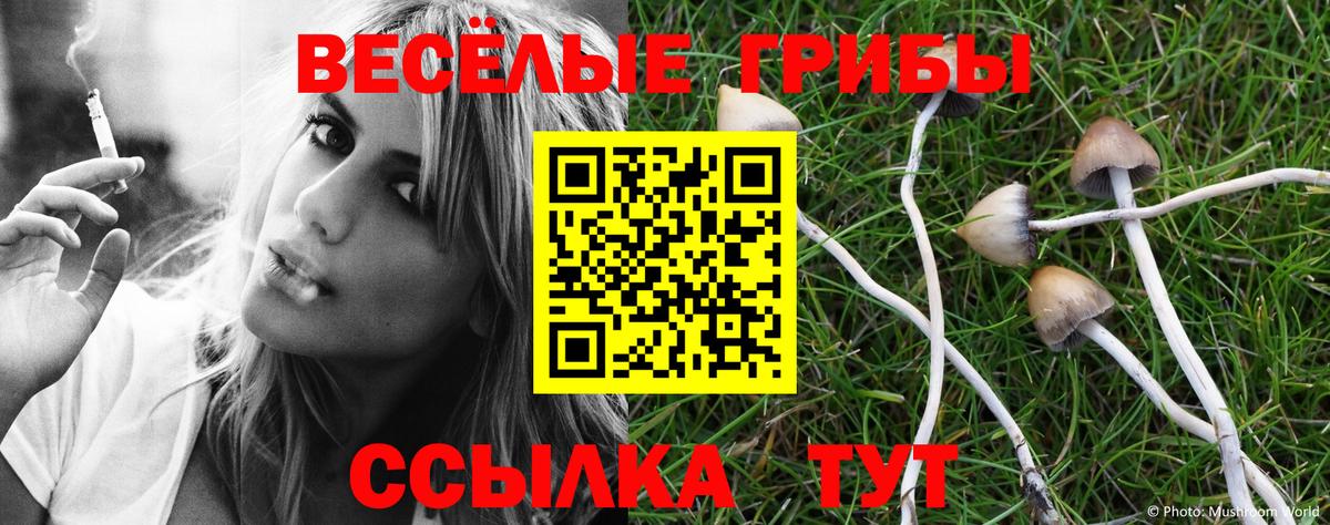 Галлюциногенные грибы мицелий Губкинский