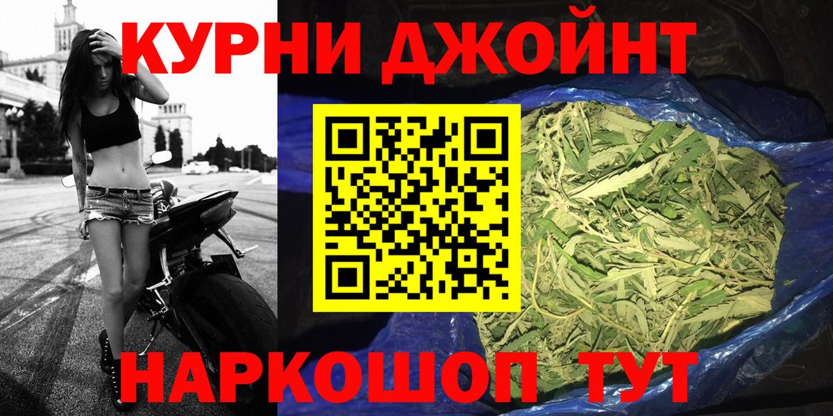 Канабис конопля Губкинский
